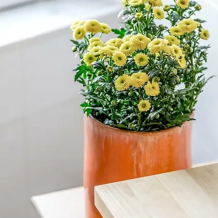 Light Filled Typical At Alfama, By Timecooler * Lisboa