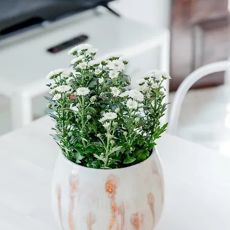 Light Filled Typical At Alfama, By Timecooler Lisbona